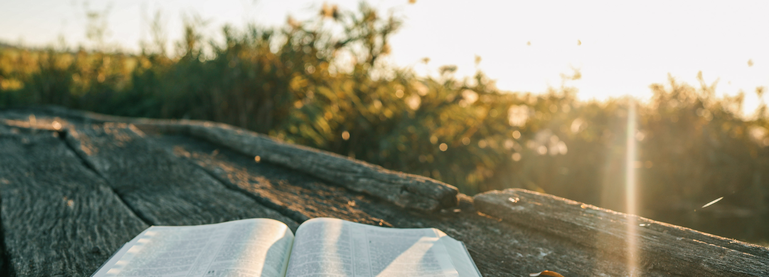 Start 2026 With a New Devotional Book