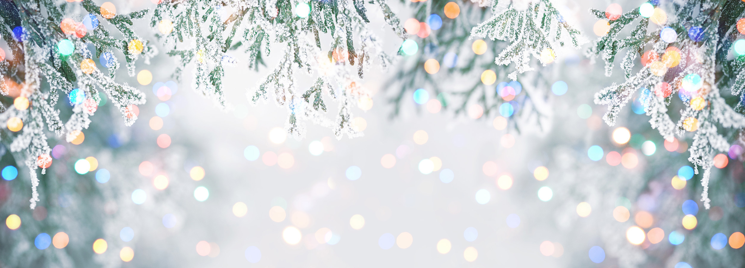 Holiday Resources from Advent<i>Source</i>