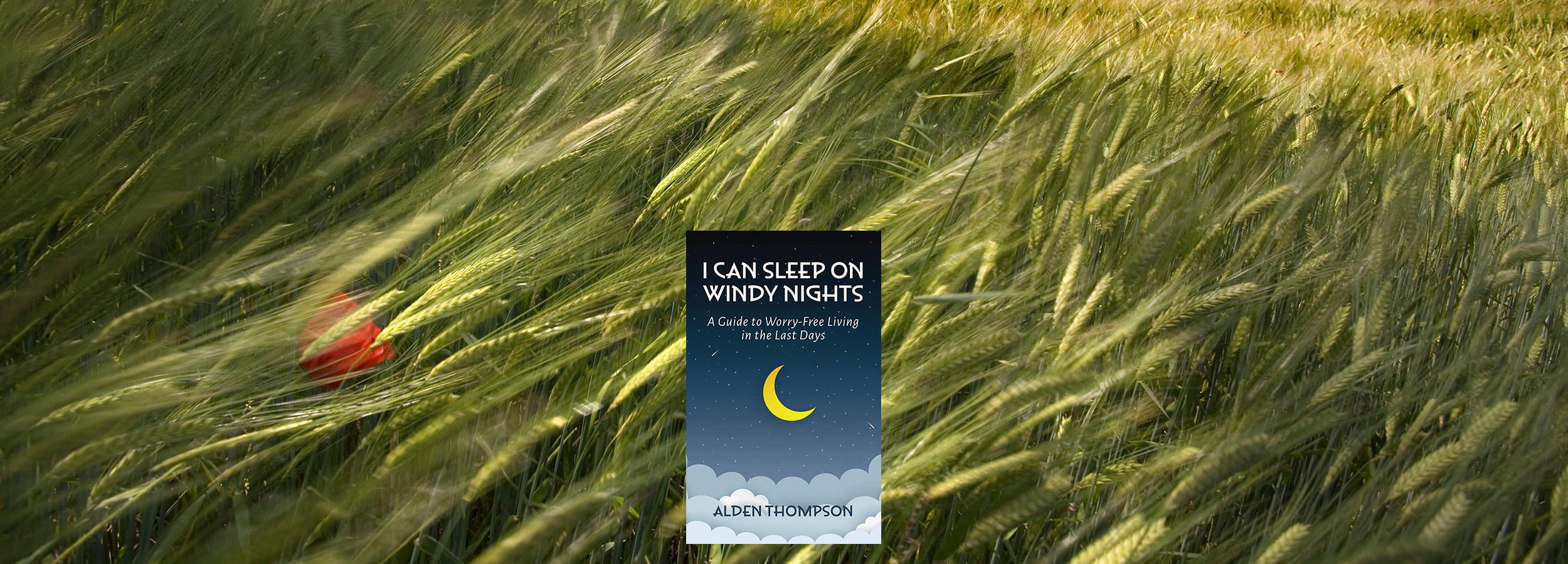 Peace Is Possible on Windy Nights